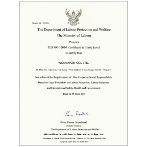 TLS 8001-2010 Certificate at Basic Level
